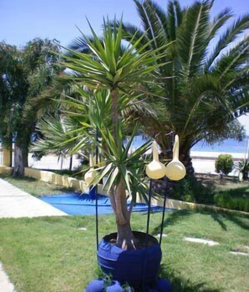 Photo 27