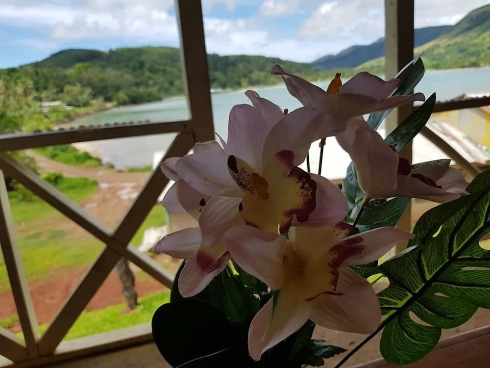 Navutovuto Accommodation - view 8