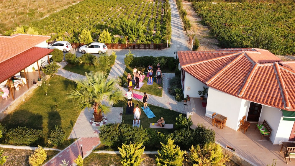 Karina Vineyard Evi - Image 62