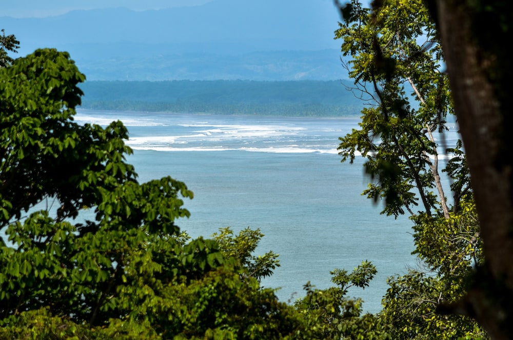 Tabulia Tree Hotel and Villas