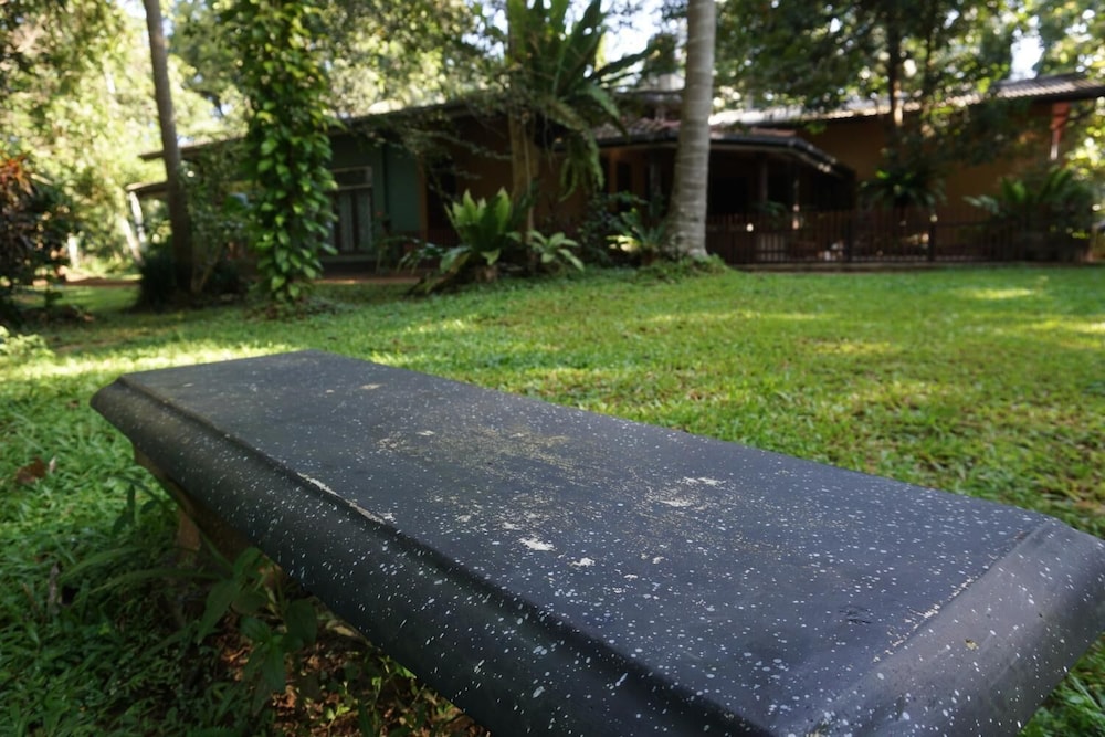 Photo 46