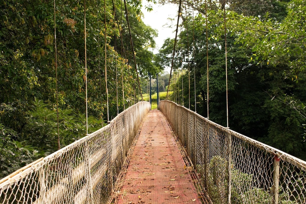 El Lugar
