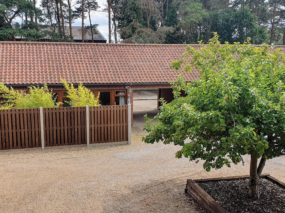 The Bull Pen