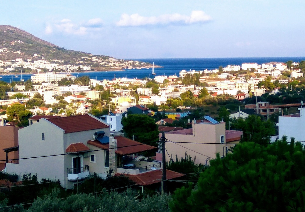 Spacious house with seaview