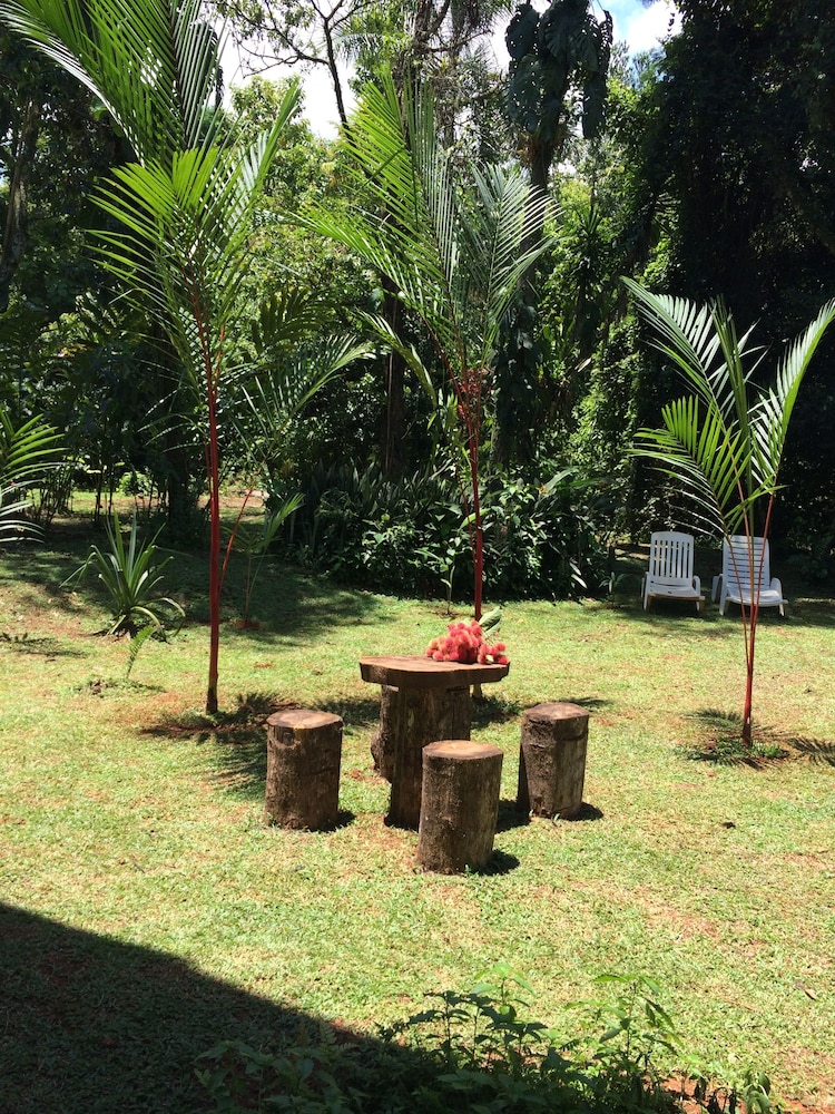 A Little Paradise