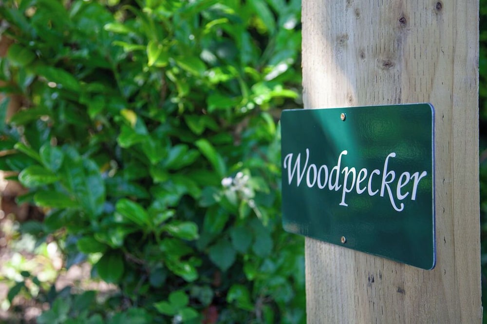 Hayne Barn Estate - Private Estate : 6 Eco Lodges - 1 Studio
