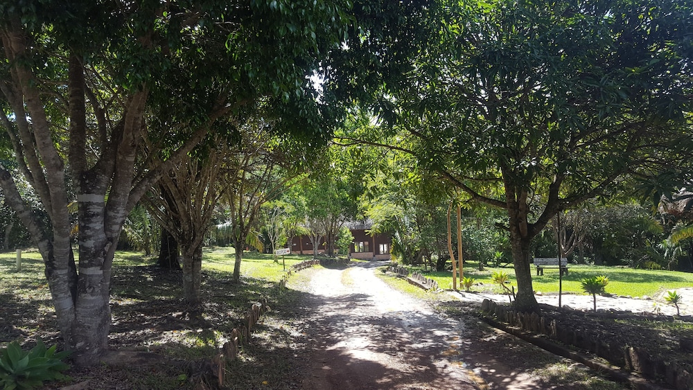Photo 28