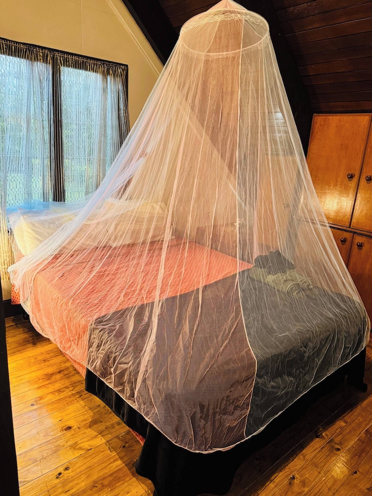 Mirz Accomodation FJ