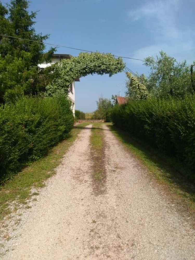 Photo 39