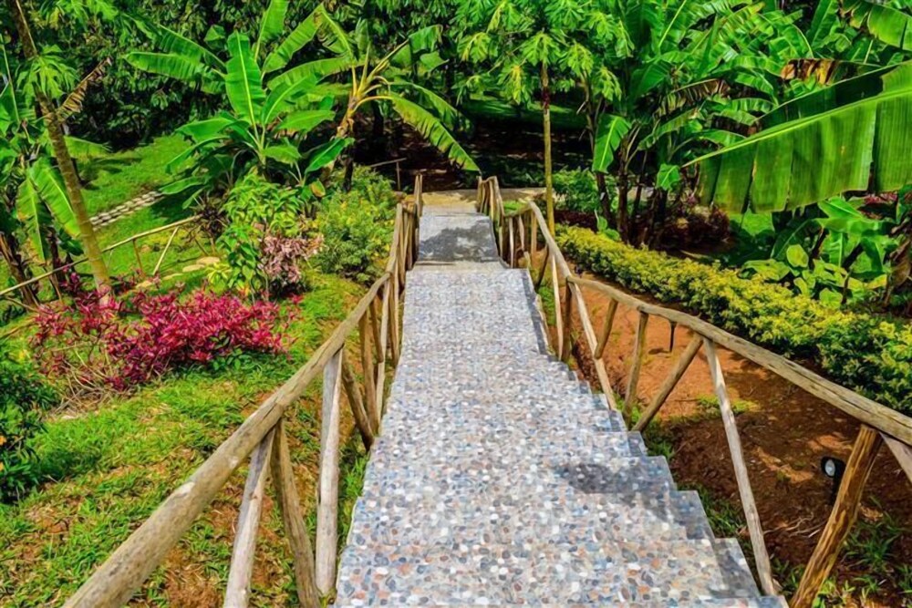 Lakshmi Ecolodge and Holistic Spa