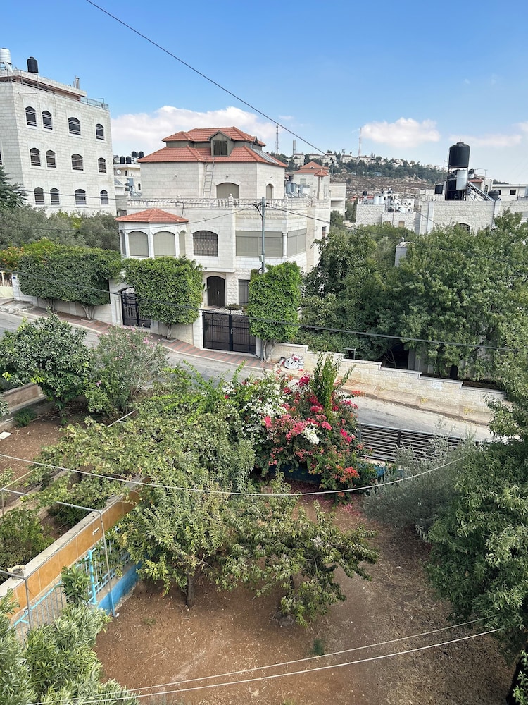 OliveTreeHostel, photo 59