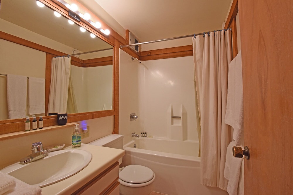 Lake Tahoe Vacations - Golden Ski Getaway - Property Image 11