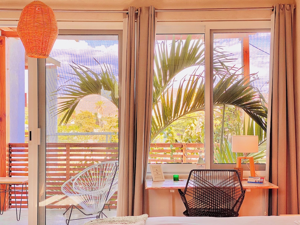 Perro Surfero Hotel Boutique - Todos Santos, BCS