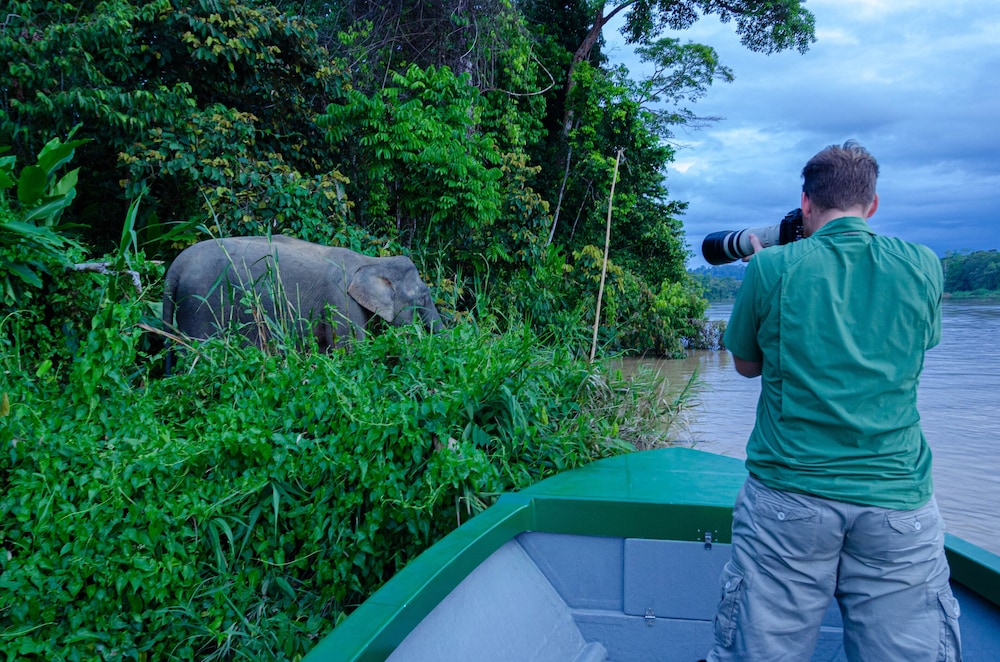 Kinabatangan Wildlife Lodge - Hostel photo 5