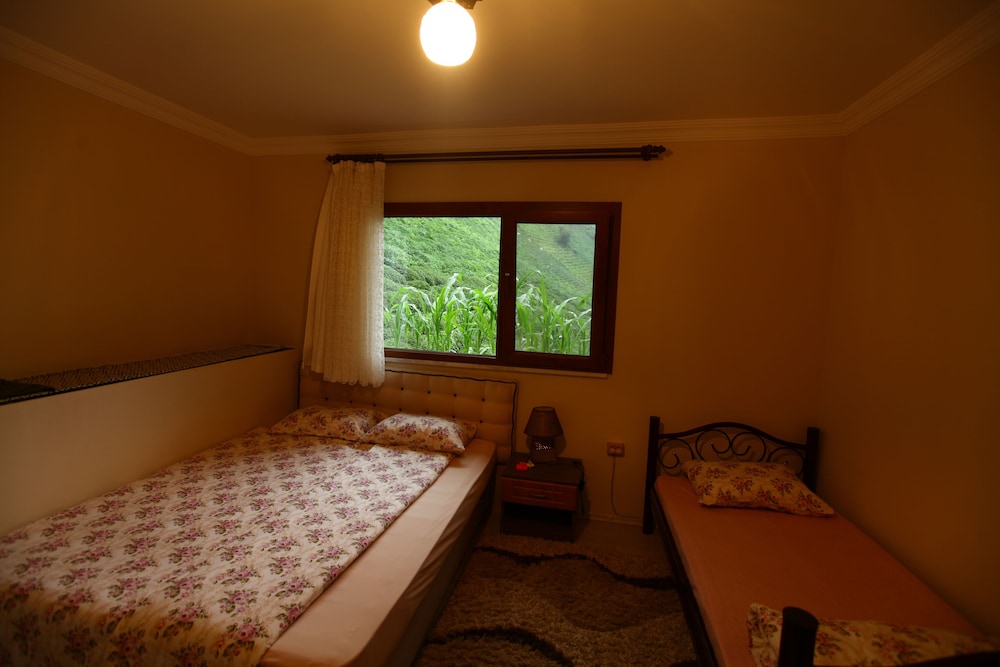 Yeşil Doğa Bungalov view 2