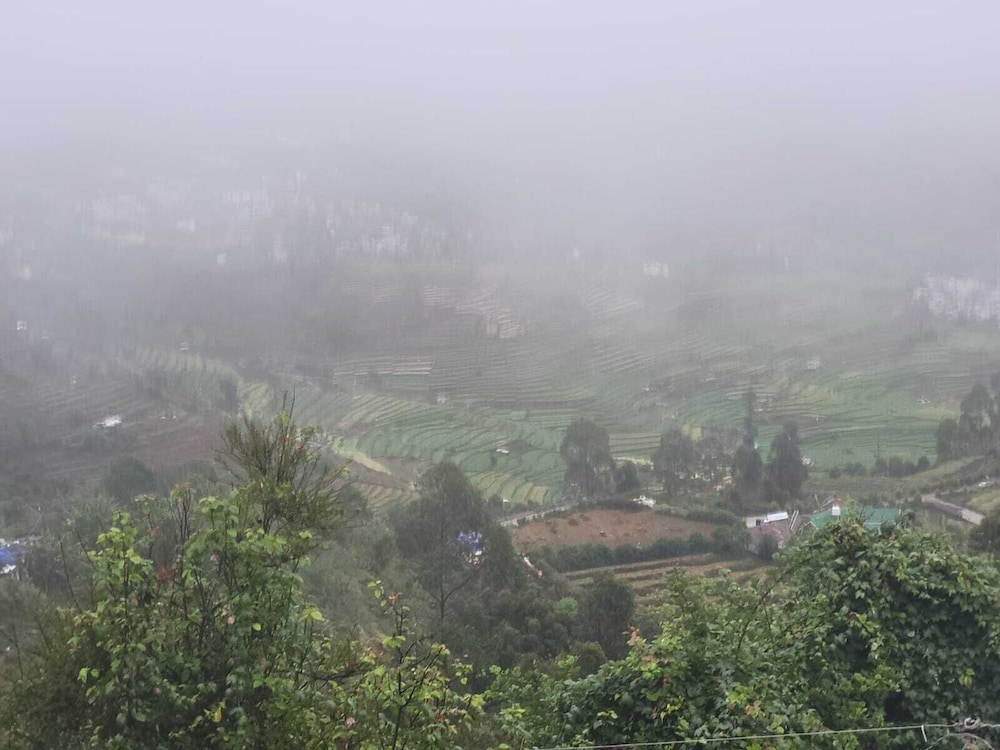 Glen Mist