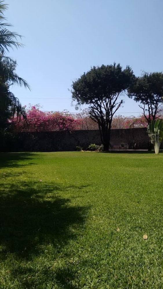Photo 27