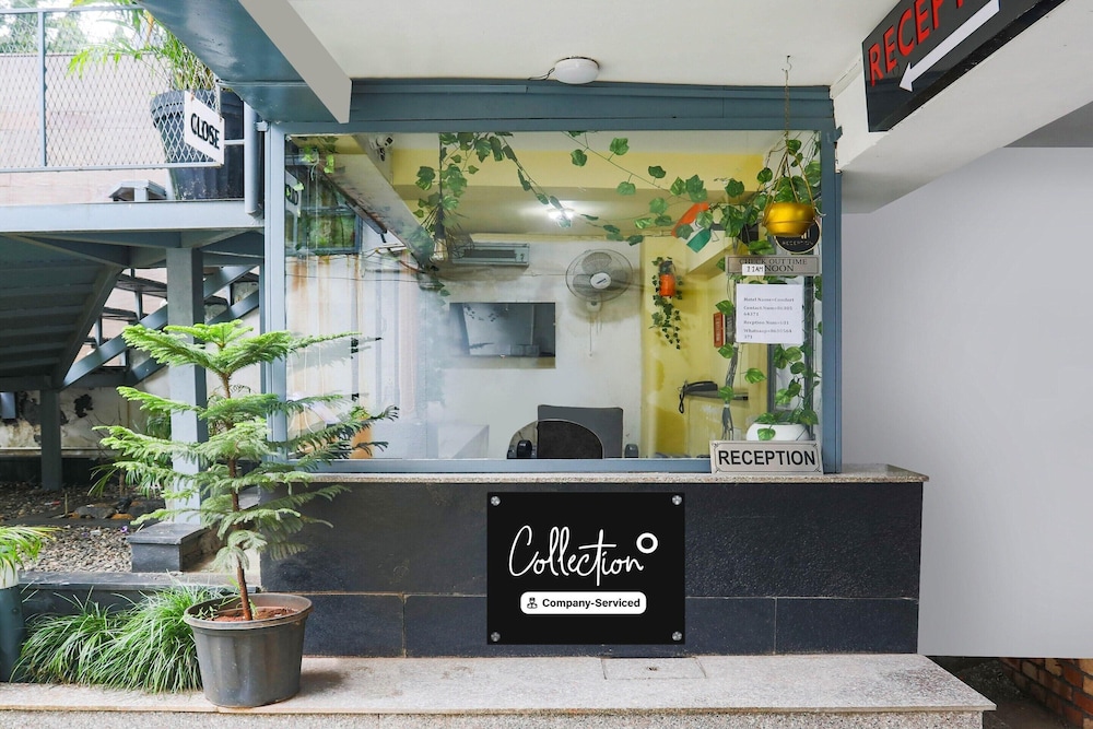 Cozy Stays Near Pacific Mall Rajpur Dehradun