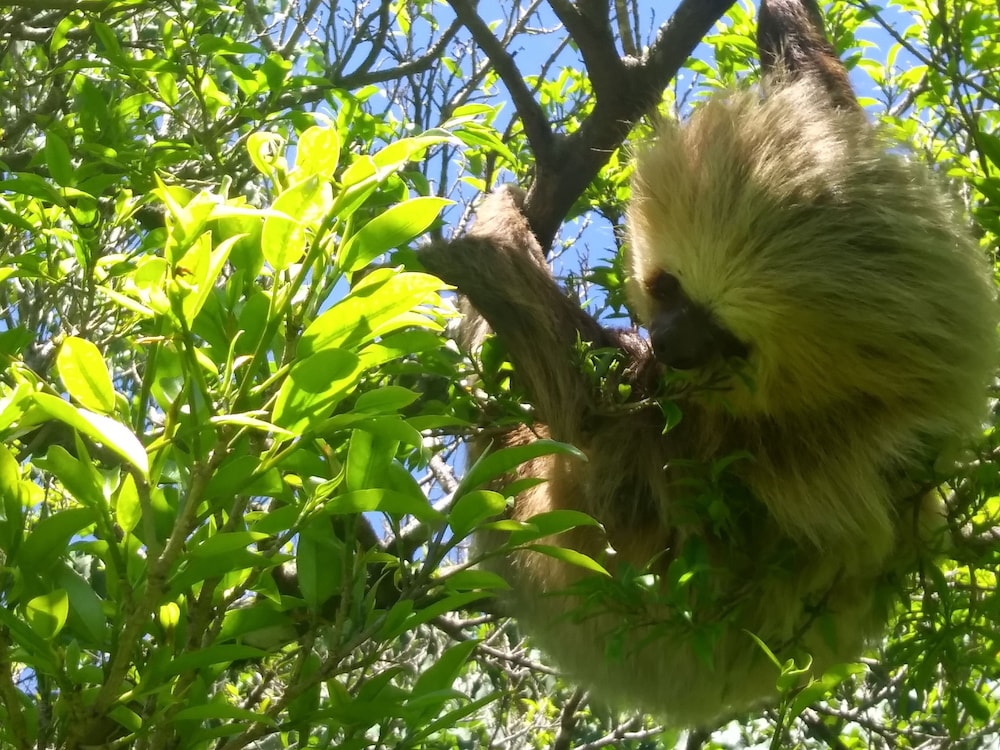 Hotel Cabañas La Montaña - Image 1