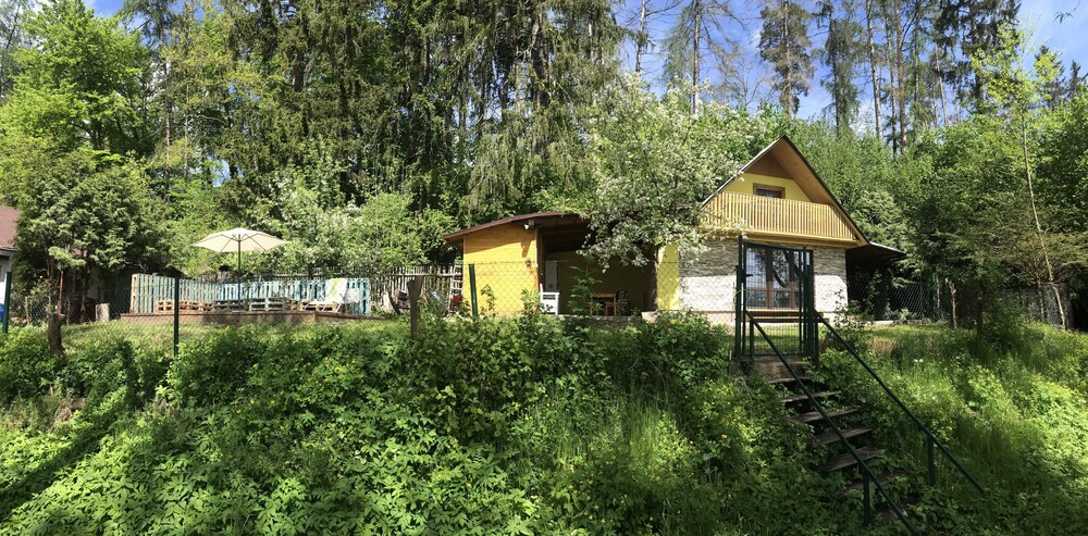 Photo 11
