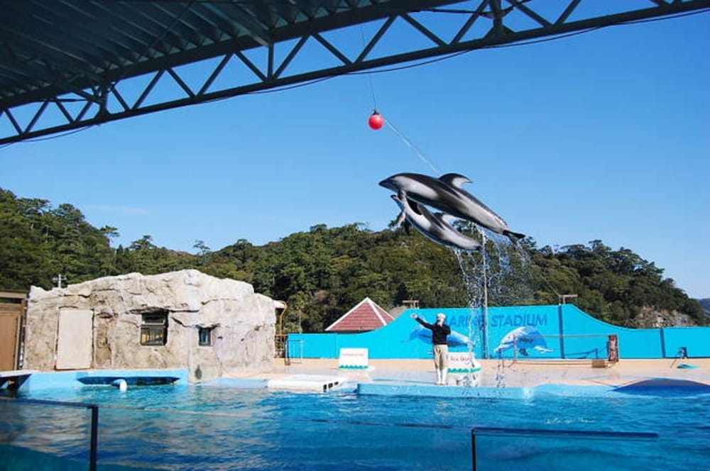 Shimodasou, Shimoda - 24