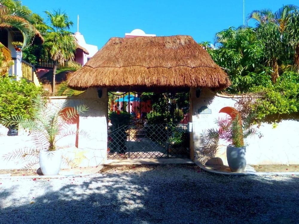 Casa Gatos