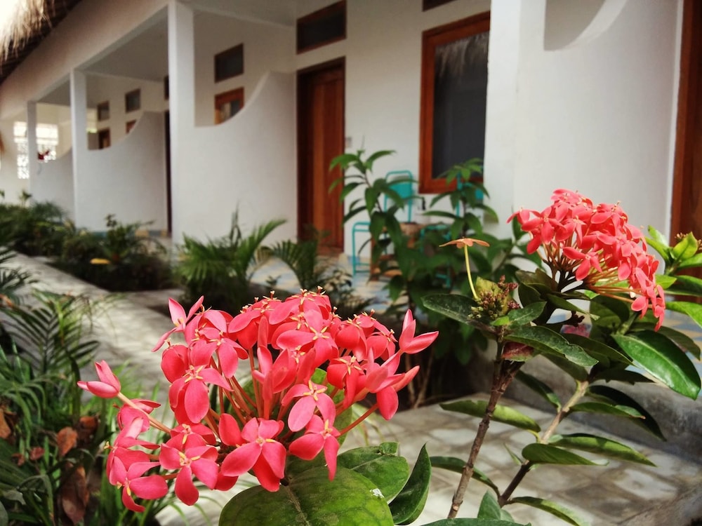 La Favela - Hostel