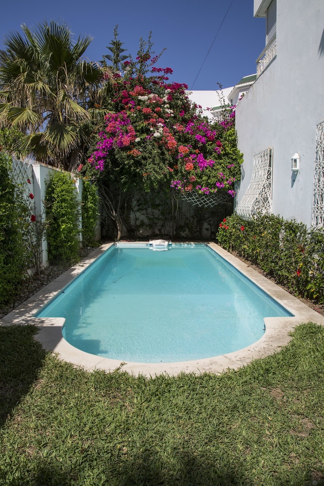 Photo 19