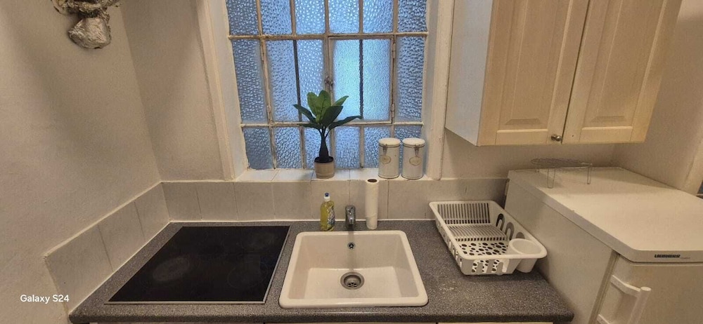 Charming 1BR Apt Near Central Vienna