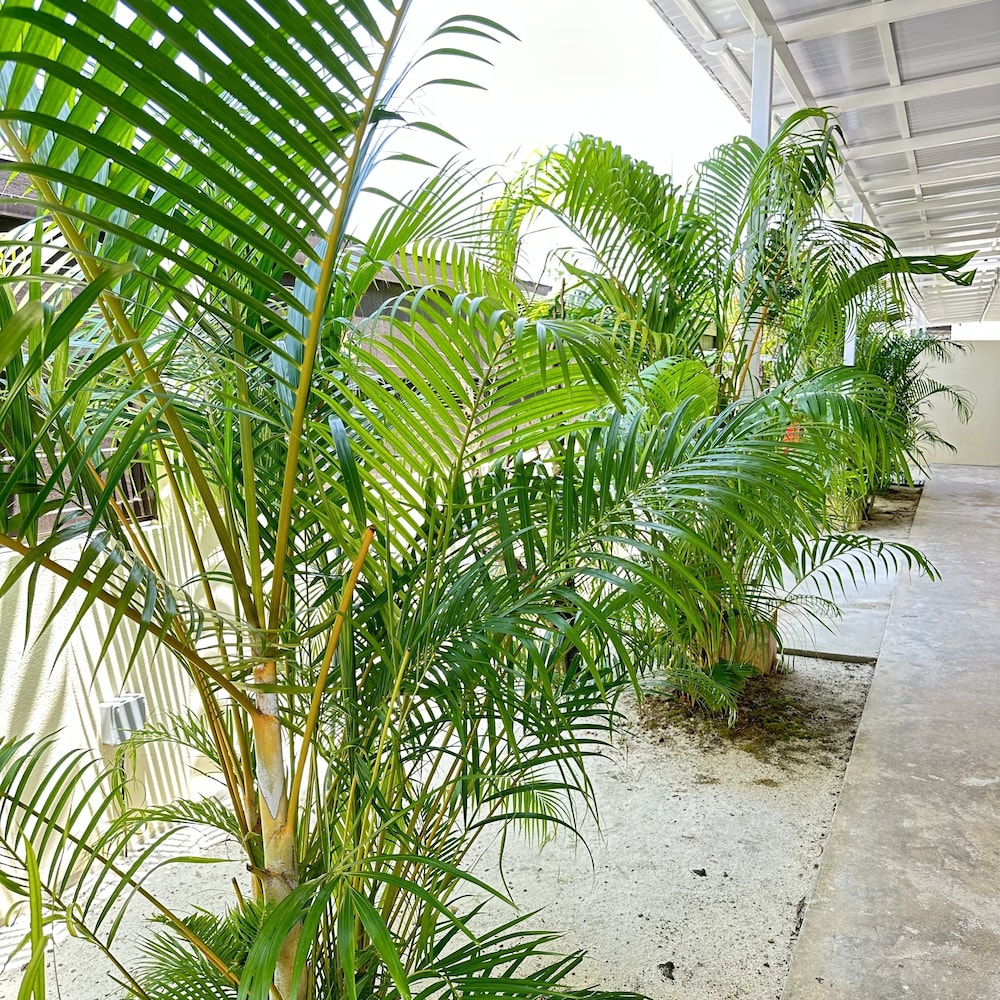 Adina Pool Villa Cenang Langkawi 3B4R photo 5