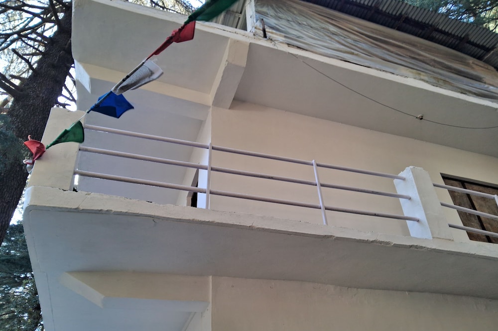 Himalayan Hostel