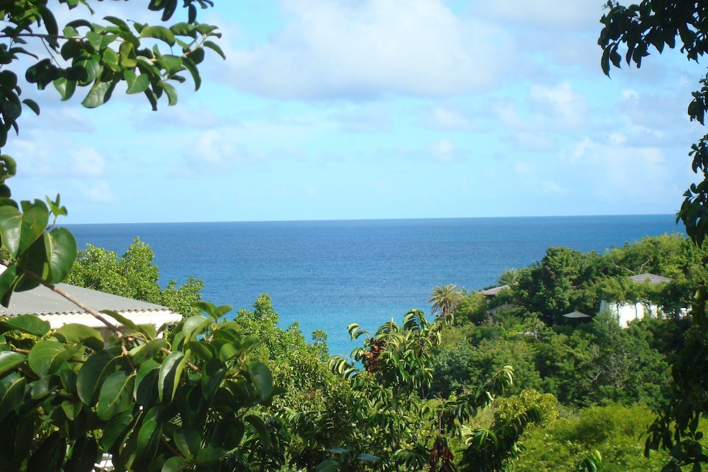 Galley Bay Cottages - Property Image 37