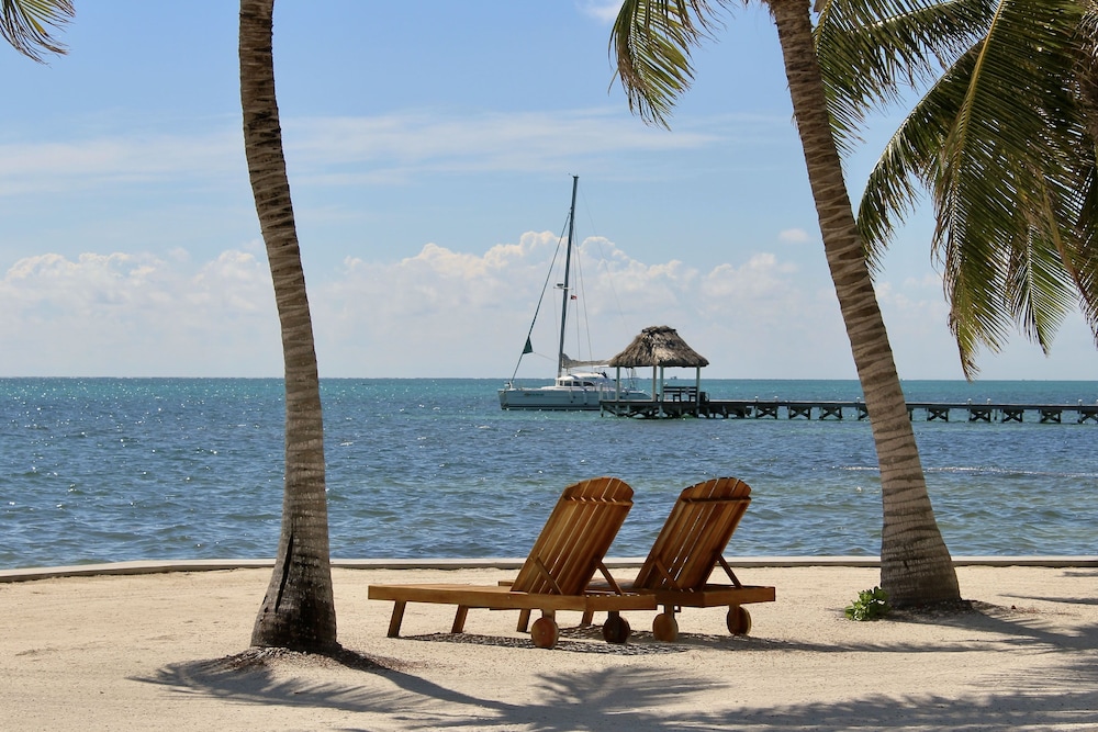 Photo 131