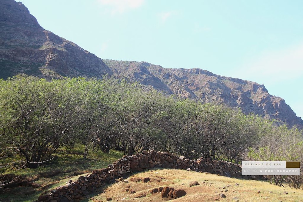 Farinha de Pau - Eco Rural Project