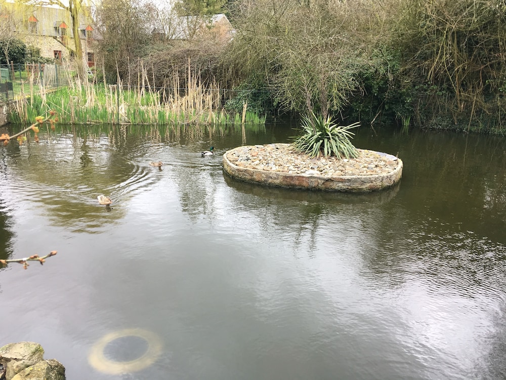 Photo 19