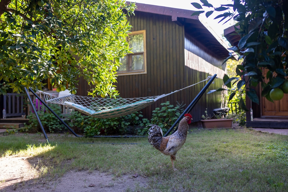 Caretta Caretta Pension