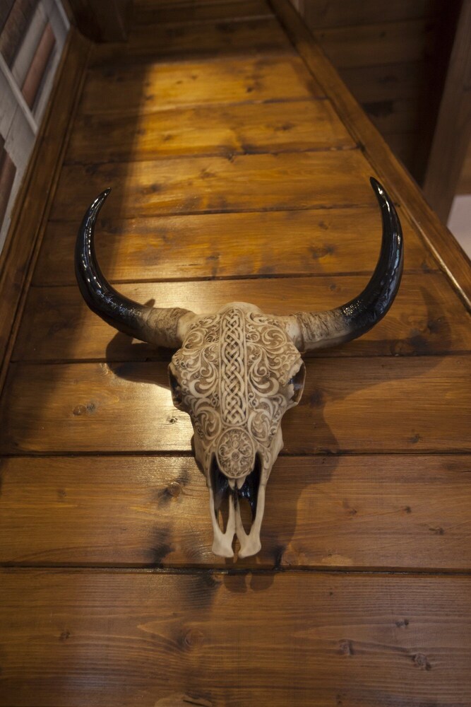 Photo 45