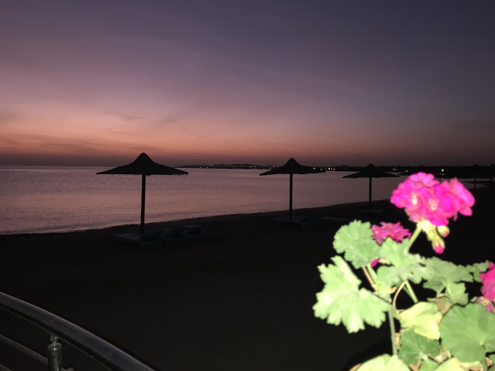 Cecelia Resort