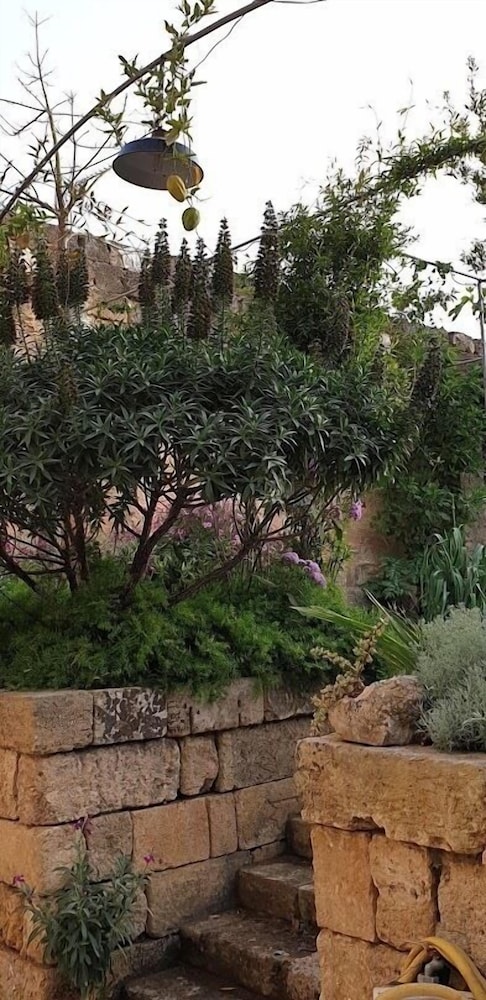 Castle XVIII
