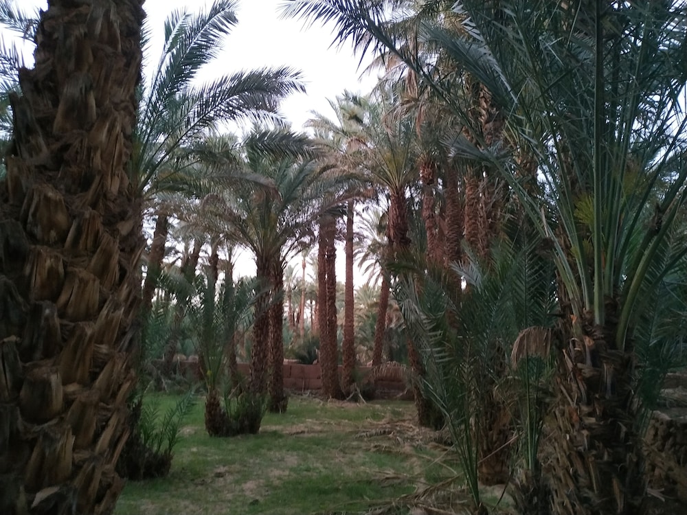 Riad Dar Zaouia