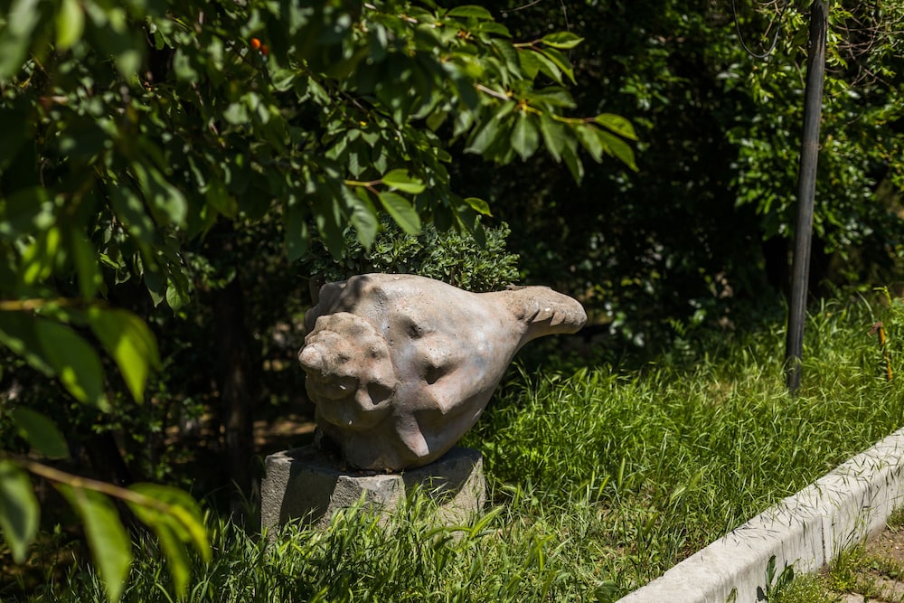 Organic House & Aquapark
