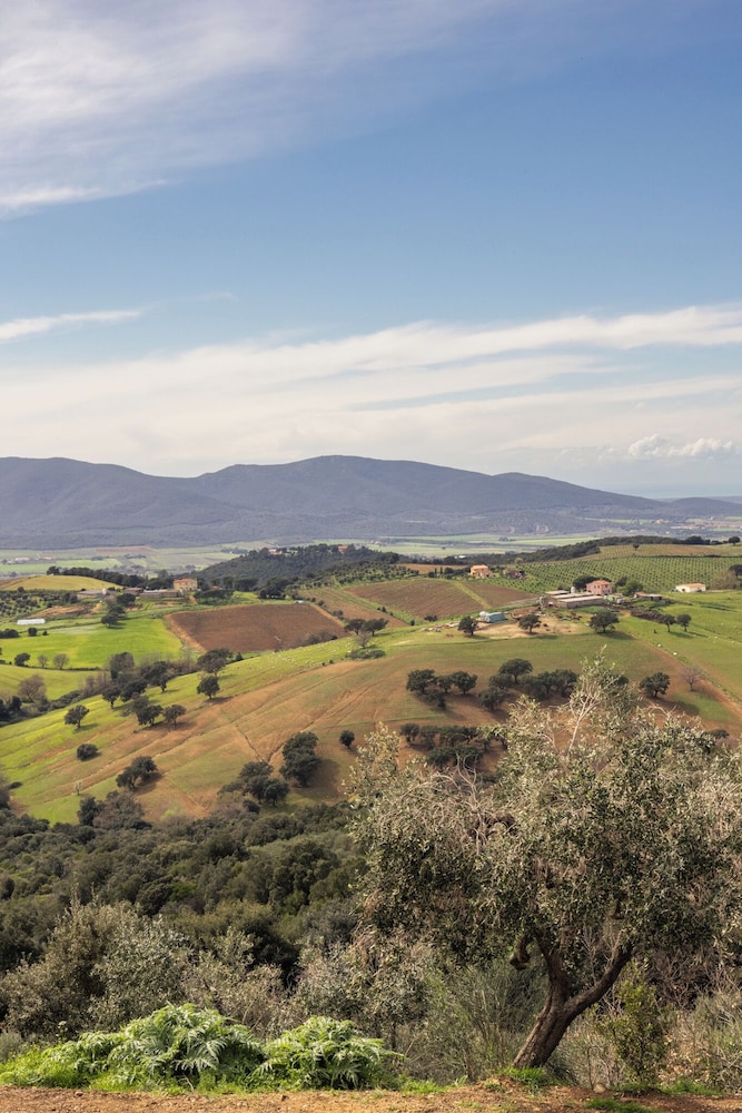 Casale Oleo