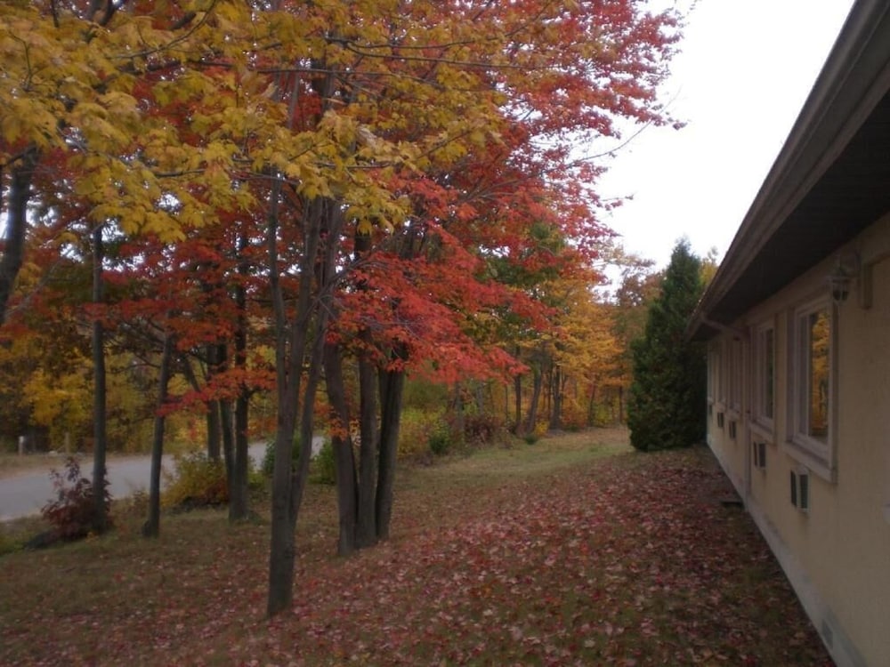 Auberge Eldo Inn