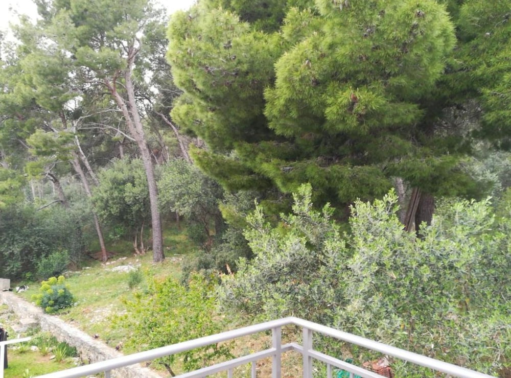 Apartment Domenico - 50 m From the sea