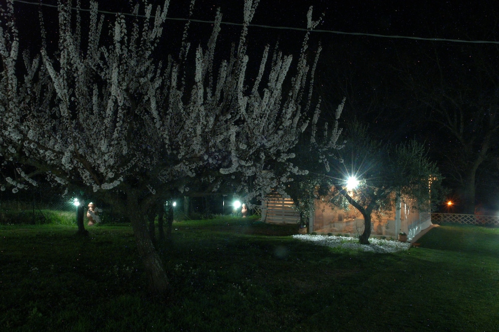 B&B Falco Bianco