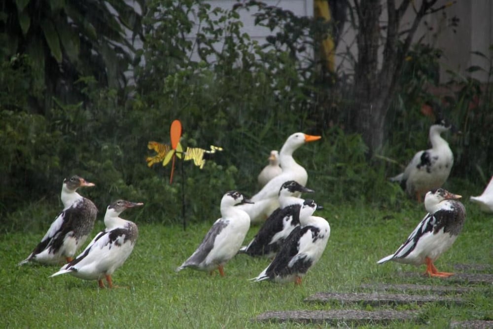 Photo 40