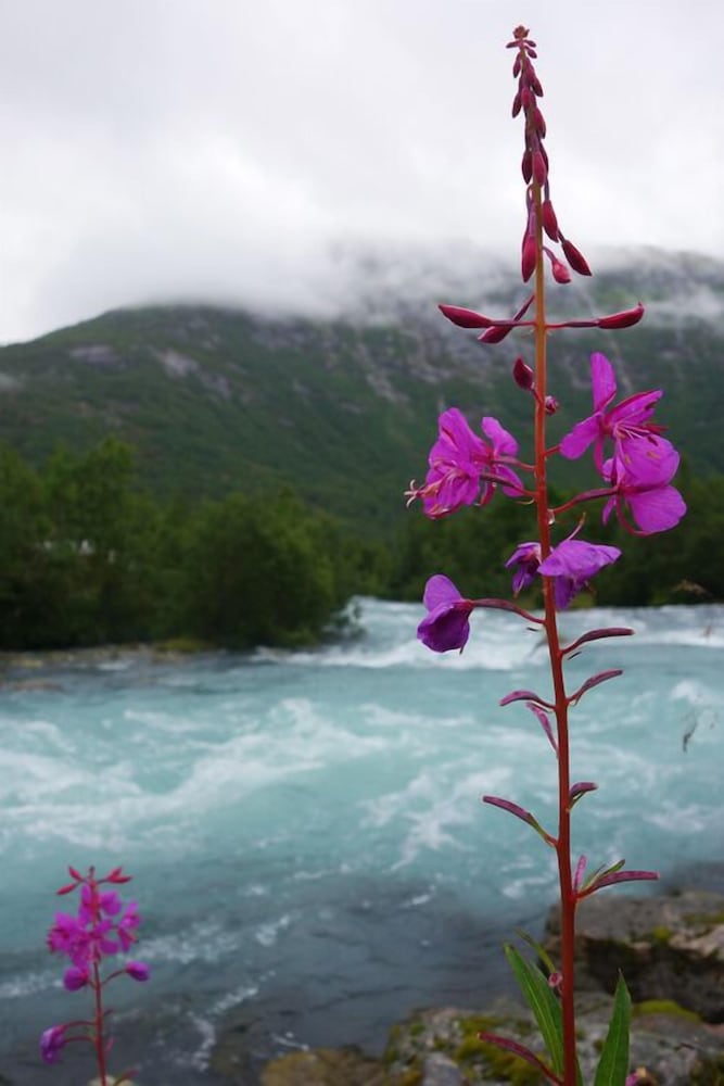 Nigardsbreen Lodge