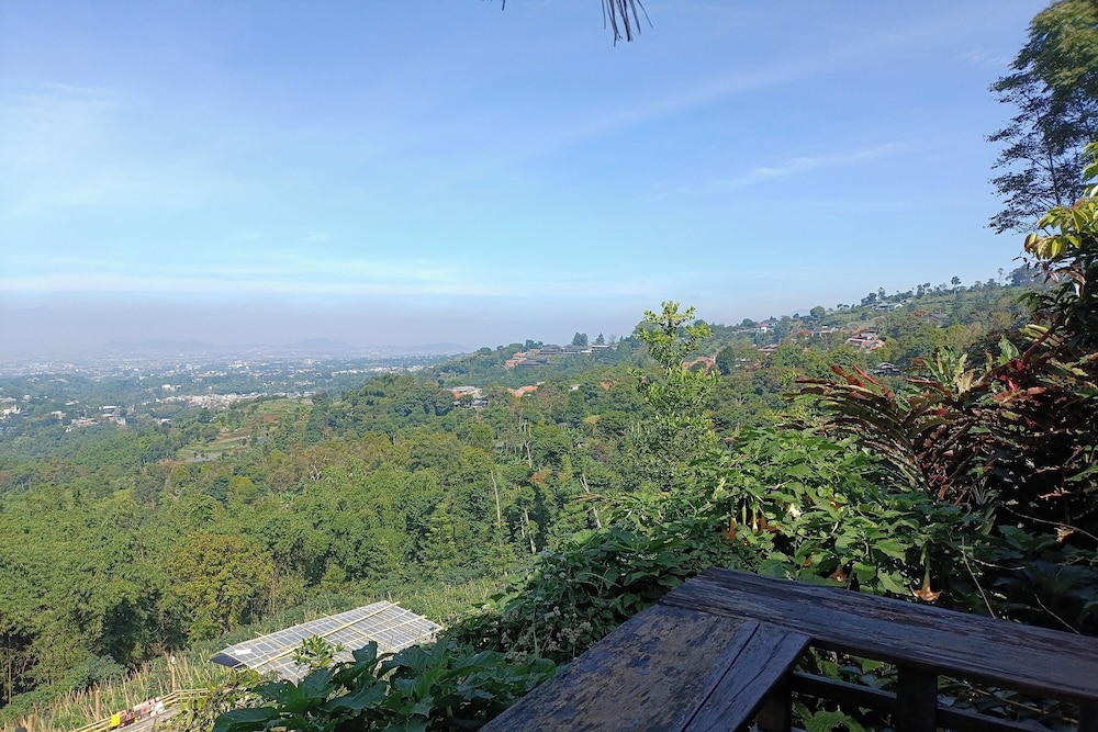 Mendulang By Belza