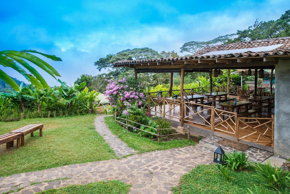 Finca Esperanza Verde view 2