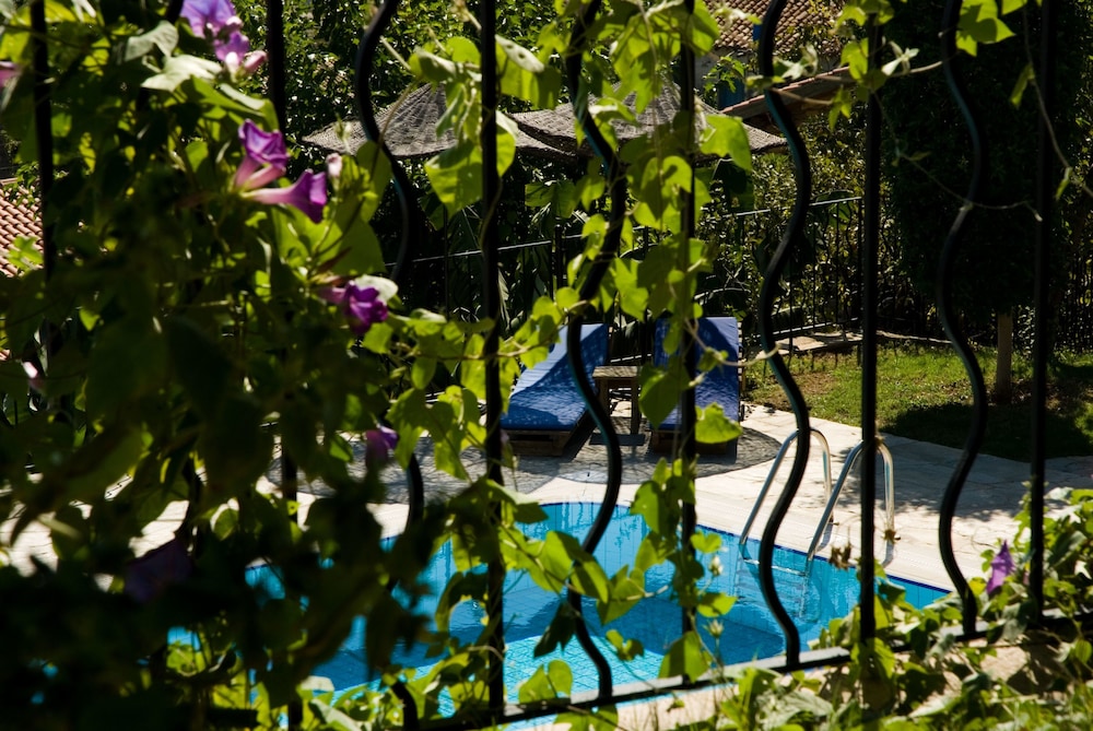 Seki Cottages